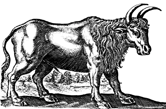 WEB-0047_aurochs