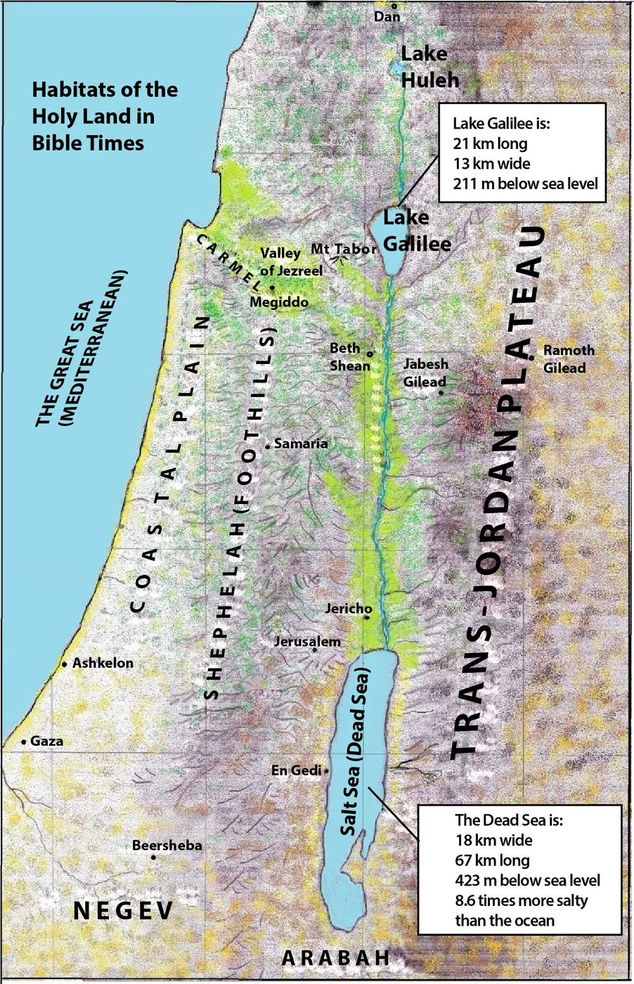 Habitats of the Holy Land in Bible Times