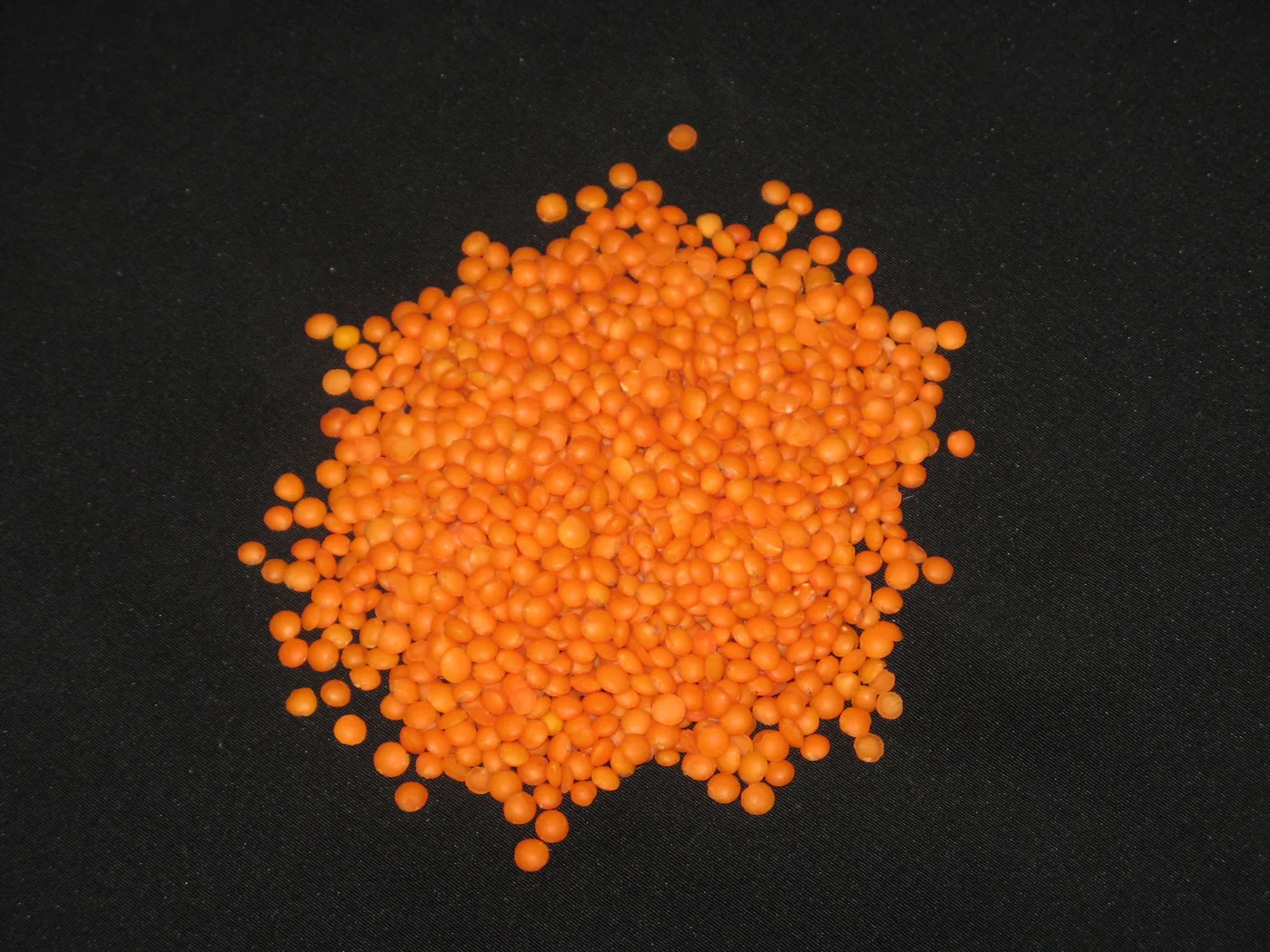 Red lentils
