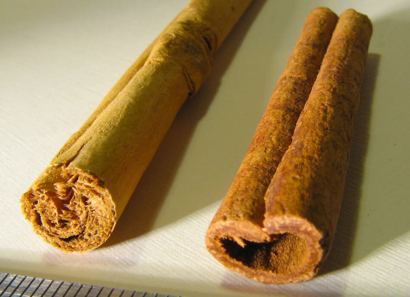 Bark of true cinnamon and cassia cinnamon