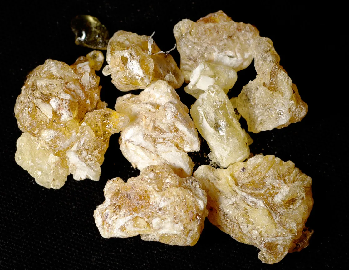 Frankincense lump