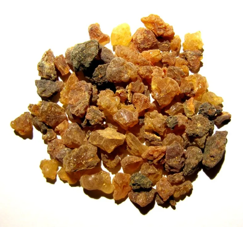 Lumps of myrrh gum