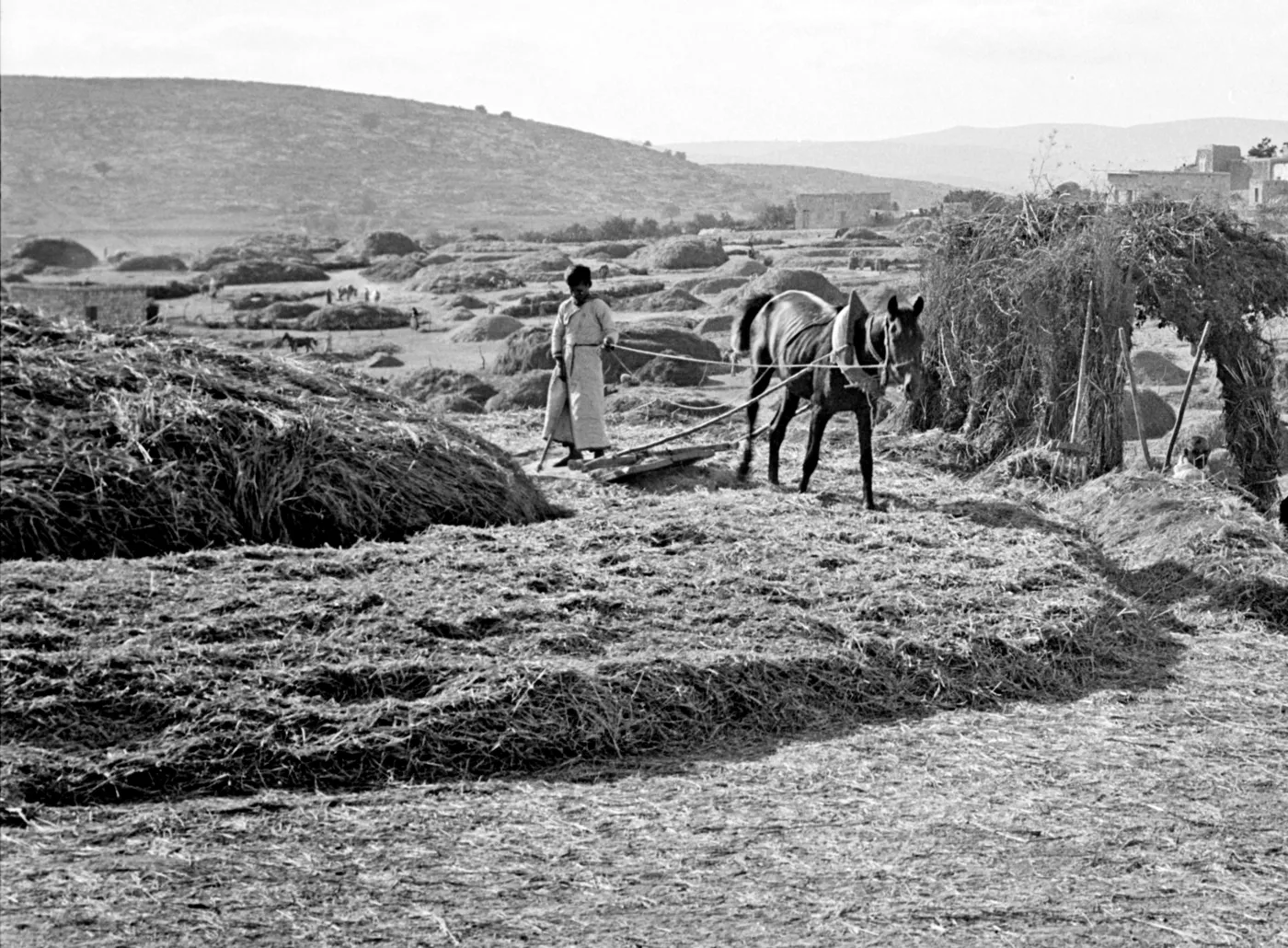 Threshing