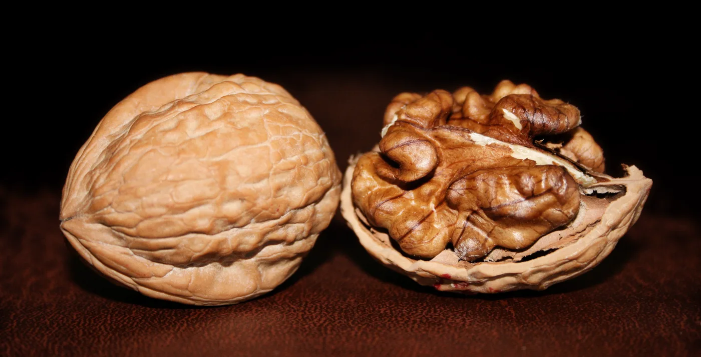 Walnut