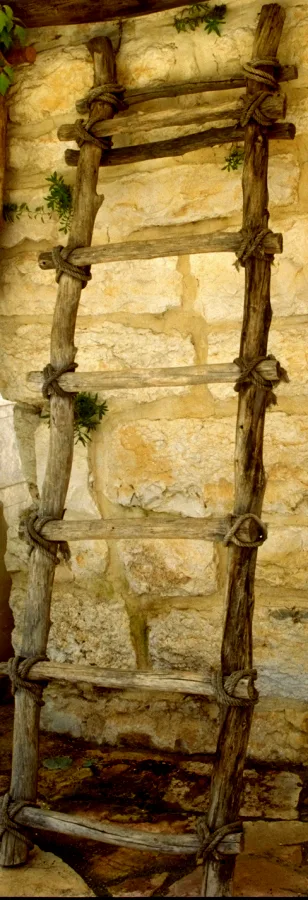 Replica of an ancient wooden ladder, with ropes securing the steps