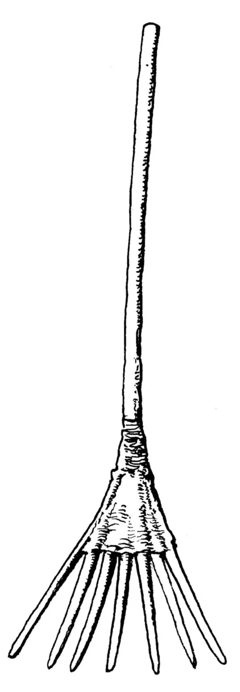 A winnowing fork is used in separating grain from chaff