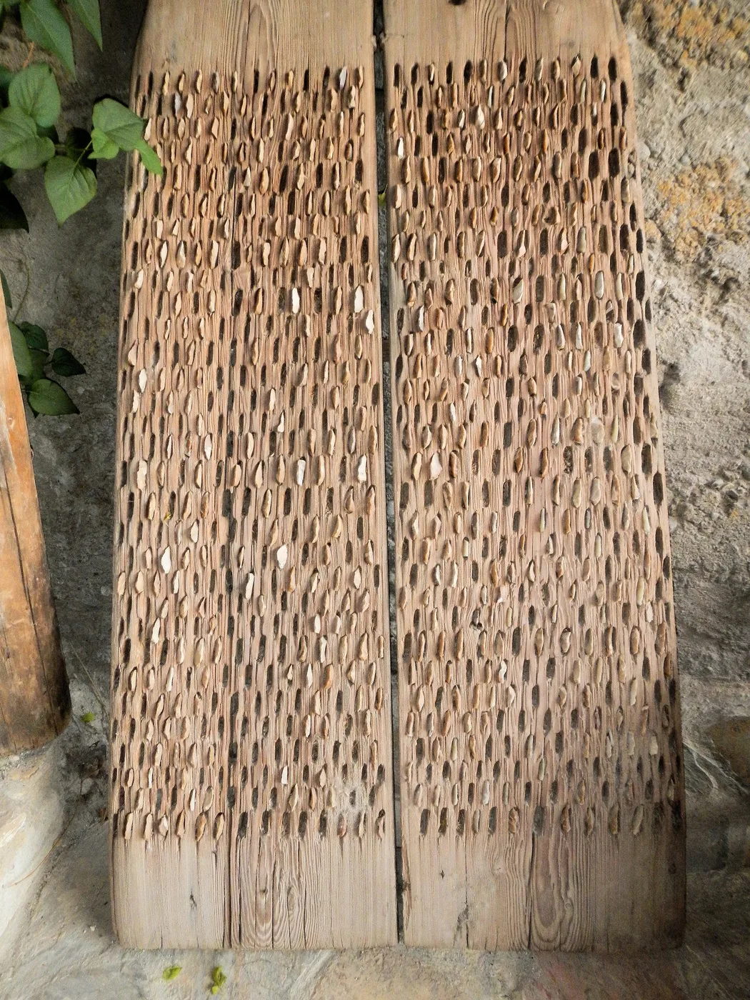 Bottom of a threshing board