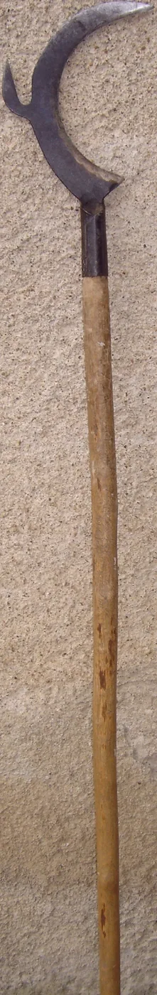 Pruning hook