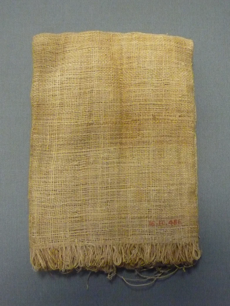 Woven cloth