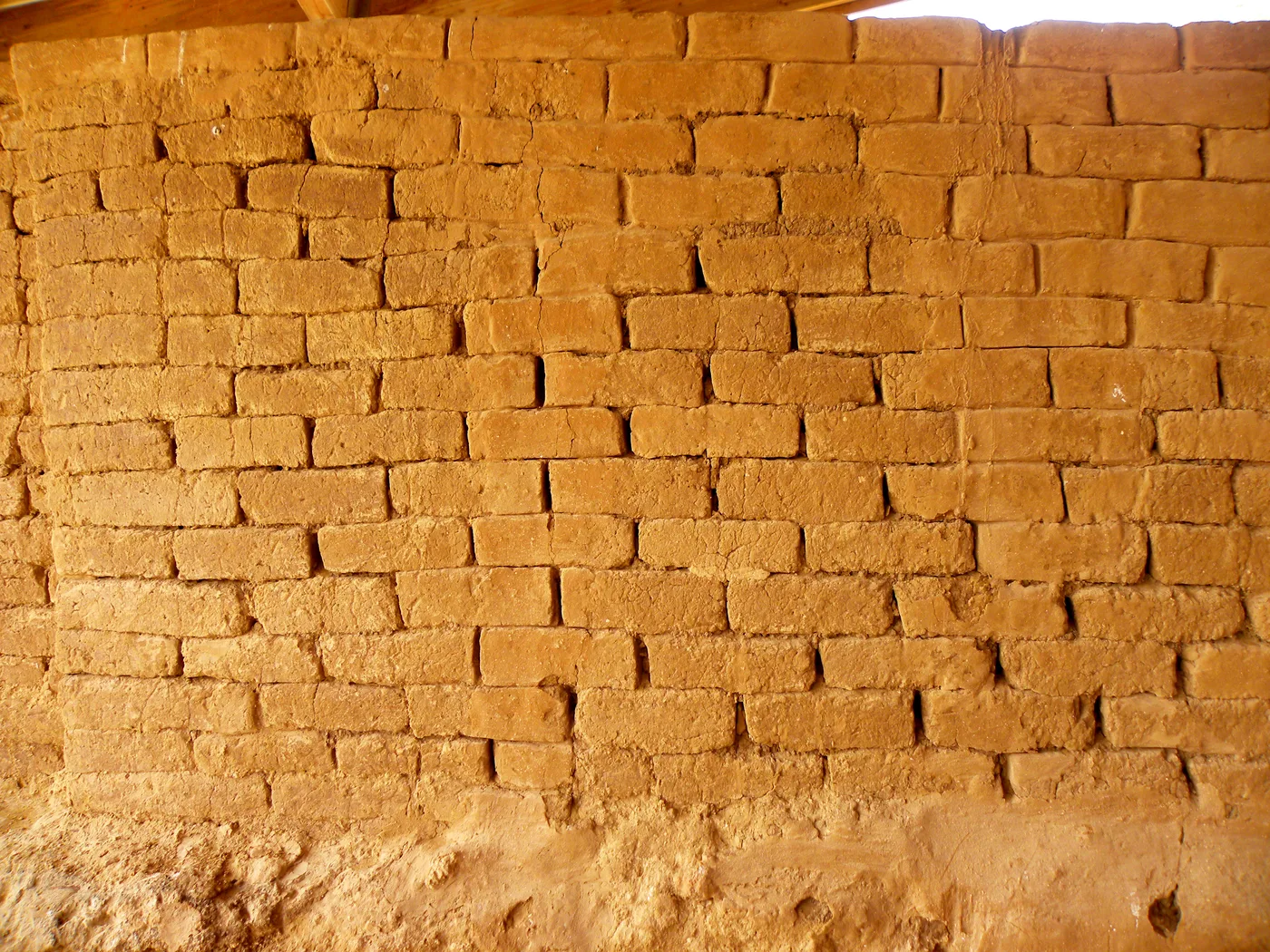 Mud bricks (original mud bricks of the outer gate structure of Philistine Ashkelon)