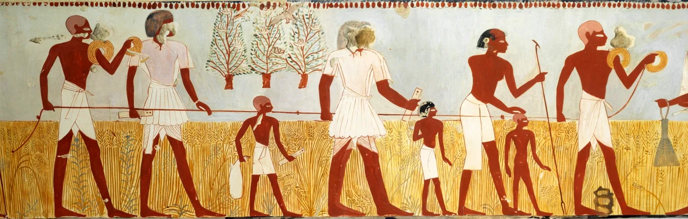 Surveyors measure a plot of land using rope with knots tied at regular intervals (facsimile, painted by Charles K. Wilkinson; tomb of Menna, original ca. 1400–1352 BCE)