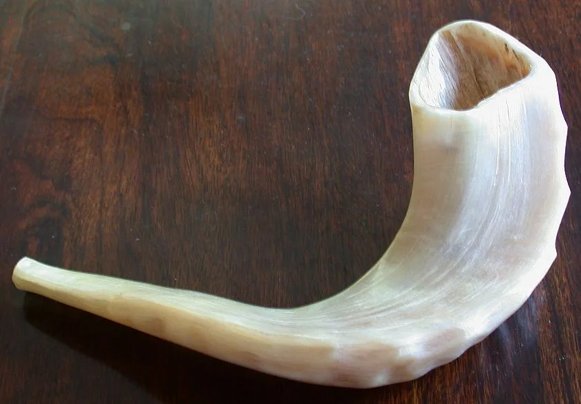 Ram's horn