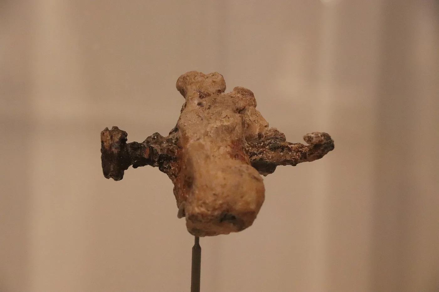 Spike in an anklebone