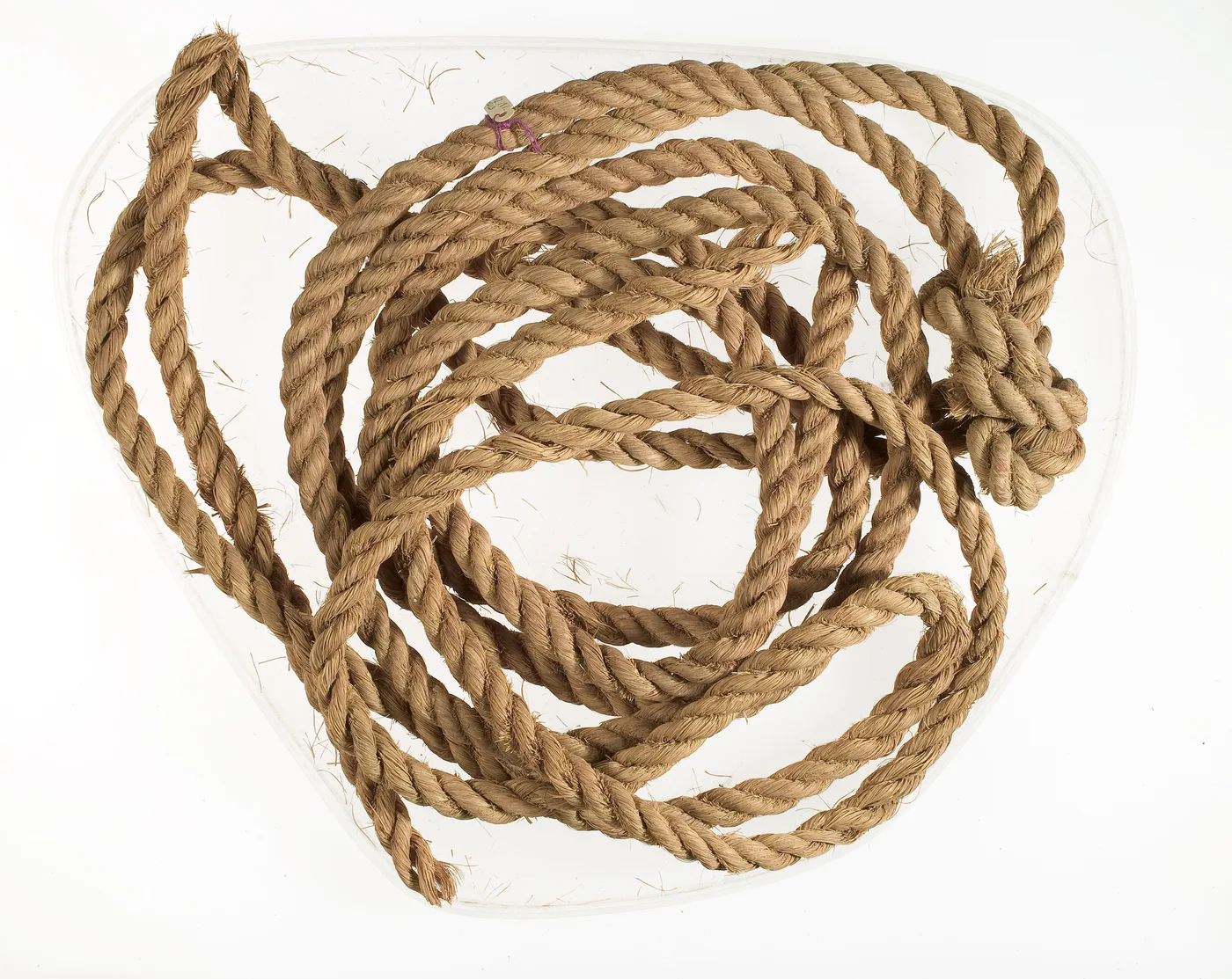 Rope, probably made of palm fiber (ca. 1550–1295 BCE, New Kingdom, Egypt, Thebes, Dra Abu el-Naga)