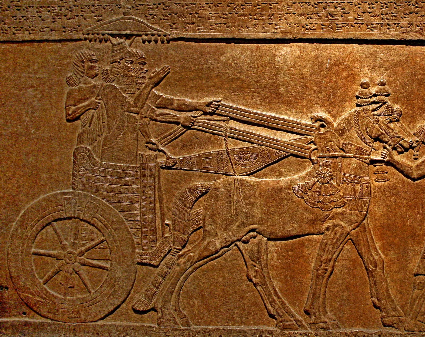 The Assyrian king Tiglath-Pileser III rides in his chariot (ca. 730–727 BCE; palace relief, British Museum)