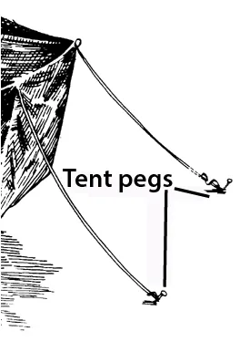 Tent pegs