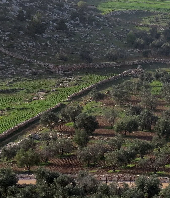 Stone fences