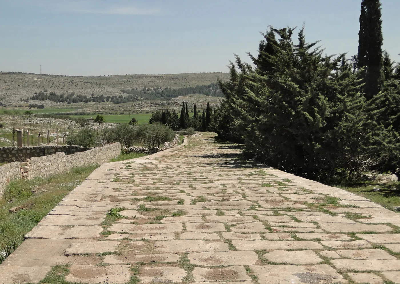 Roman road of Tell Aquibrin