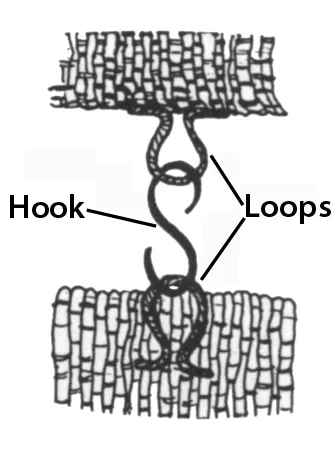 Loop and hook