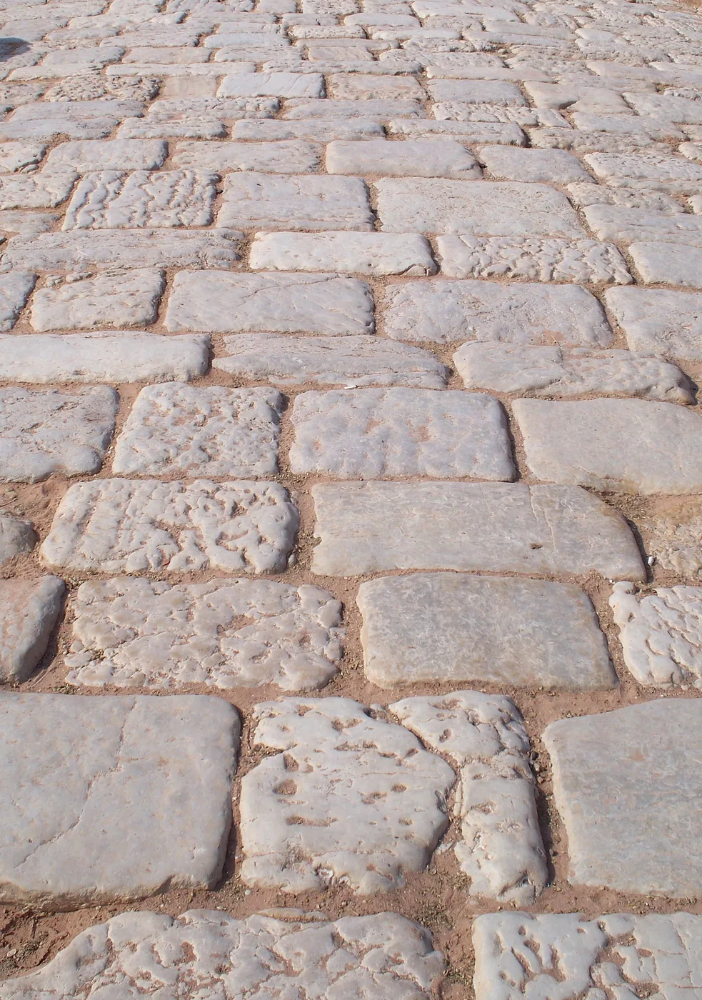 Roman pavement, Petra