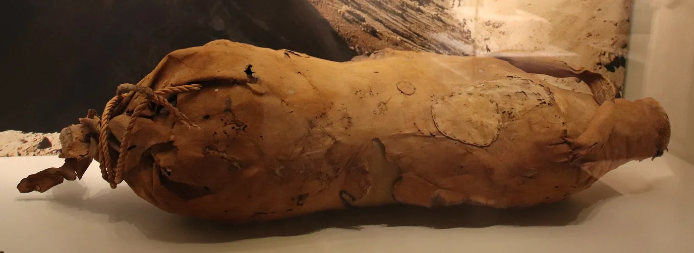 An animal skin was used to hold liquids, typically water or wine