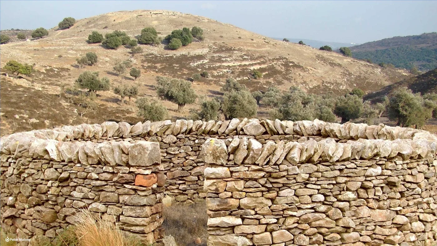 A stone fence protected sheep at night