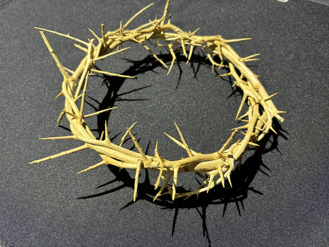 Crown of thorns