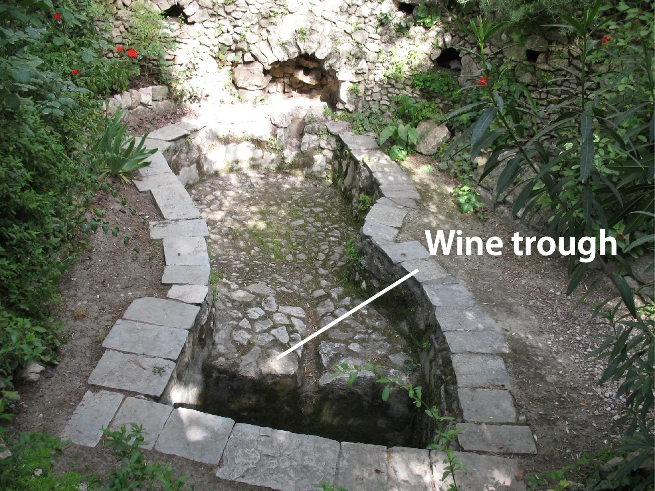 Man in a winepress